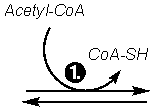 arrow1 (1K)