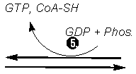 arrow5 (1K)