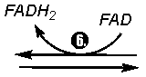 arrow6 (1K)