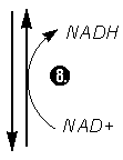 arrow8 (1K)